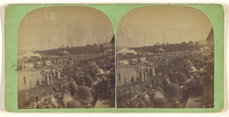 Exhibition of horses, Little Falls, New York; W.M. Tucker, American, active 1870s, 1870s; Albumen silver print