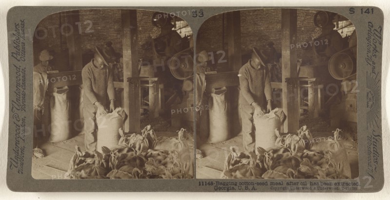 Bagging cotton-seed meal after oil has been extracted, Georgia, U.S.A; Underwood & Underwood, American, 1881 - 1940s