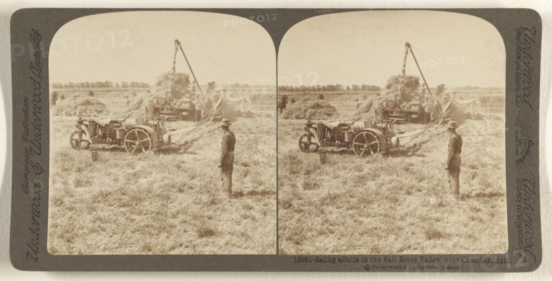 Baling alfalfa in the Salt River Valley near Chandler, Ariz; Underwood & Underwood, American, 1881 - 1940s, about 1902; Gelatin