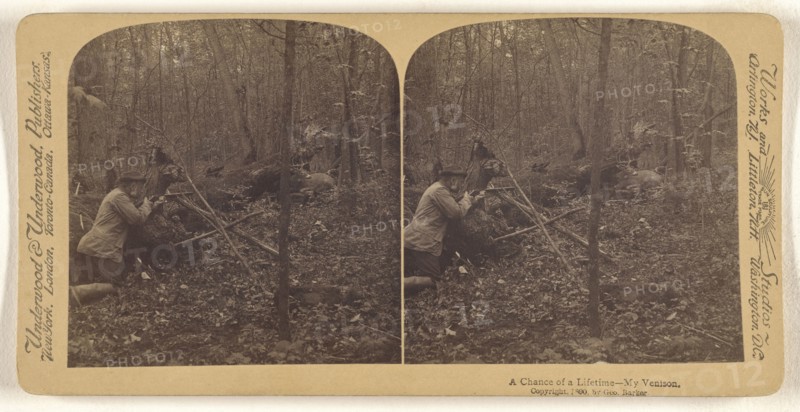 A Chance of a Lifetime - My Venison; George Barker, American, 1844 - 1894, Underwood & Underwood, American, 1881 - 1940s, 1890