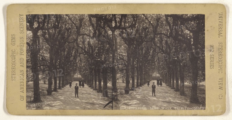 Oxford. Lime Walk, Trinity College; Universal Stereoscopic View Company; about 1880; Collotype