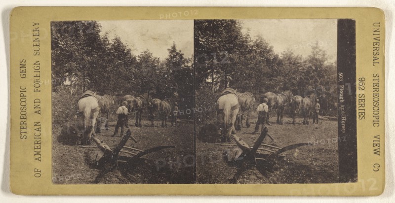 Plough and Horses; Universal Stereoscopic View Company; about 1880; Collotype