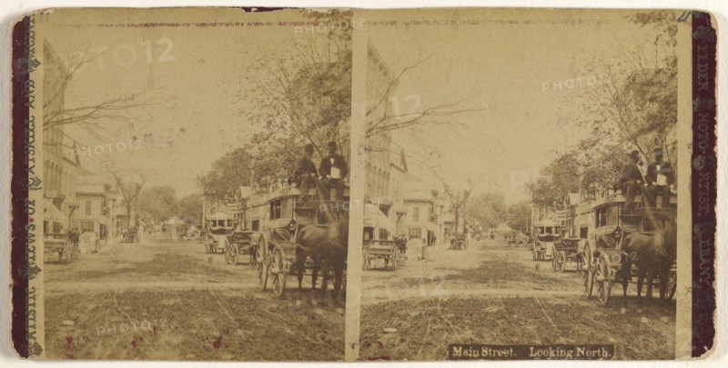 Main Street. Looking North. Albany, New York; Aaron Veeder, American, active Albany, New York 1870s - 1880s, 1875 - 1885