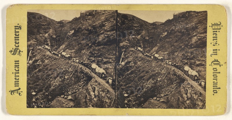 Wagon Trains, Colorado; about 1870; Albumen silver print