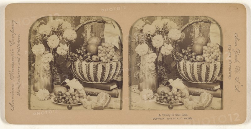 A Study in Still Life; R.Y. Young, American, active New York, New York and Cuba 1890s - 1900s, 1902; Hand-colored Albumen