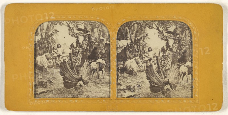 Genre scene: Adam & Eve in the Garden of Eden; Charles Gaudin, Ch. G., French, active 1860s, 1860s; Hand-colored Albumen silver