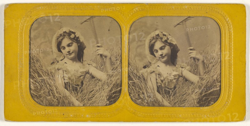 Little girl in field of hay holding a rake; 1855 - 1860; Hand-colored Albumen silver print