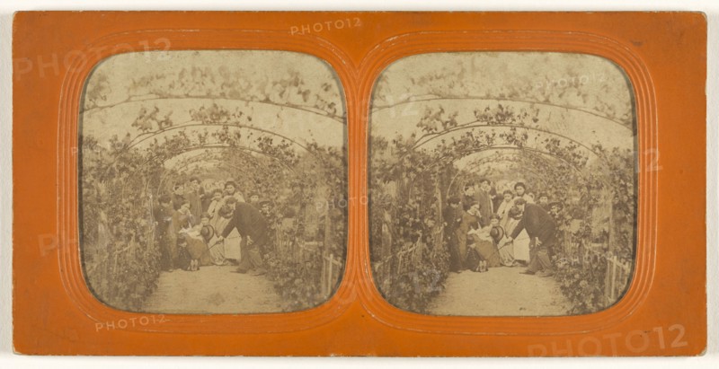 Group of people under a series of grape vines; 1855 - 1860; Hand-colored Albumen silver print