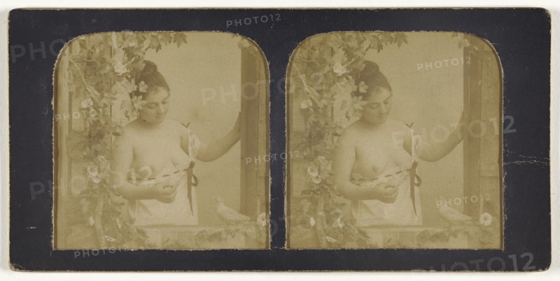 Woman in demure state, looking down, breasts exposed; French; 1855 - 1860; Hand-colored Albumen silver print