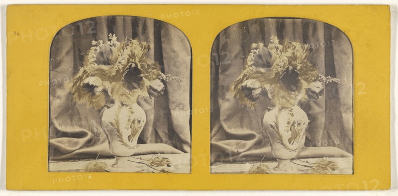 Bouquet of natural flowers; about 1865; Hand-colored Albumen silver print