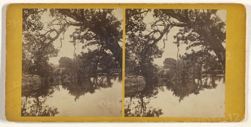 View on the Nashua River; Edward O. Waite, American, active 1880s, 1870s; Albumen silver print