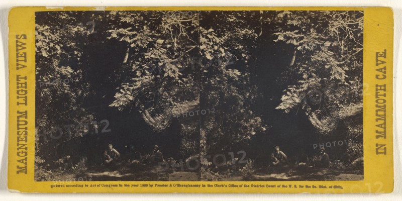 Mouth of the Cave; Charles Waldack, American, 1828 - after 1904, 1866; Albumen silver print
