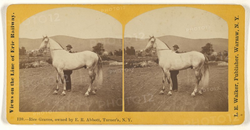 Rice Graves, owned by E.R. Abbott, Turner's, N.Y; L. E. Walker, American, 1826 - 1916, active Warsaw, New York, about 1870