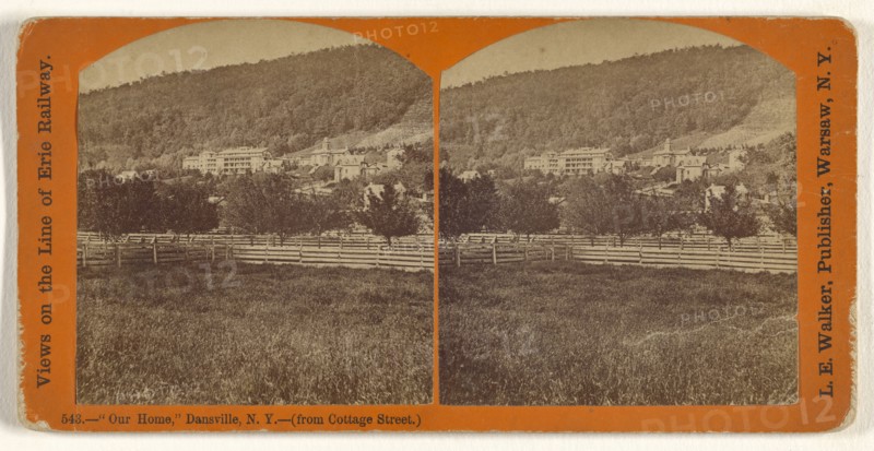 Our Home,  Dansville, N.Y. -, from Cottage Street., L. E. Walker, American, 1826 - 1916, active Warsaw, New York, about 1870
