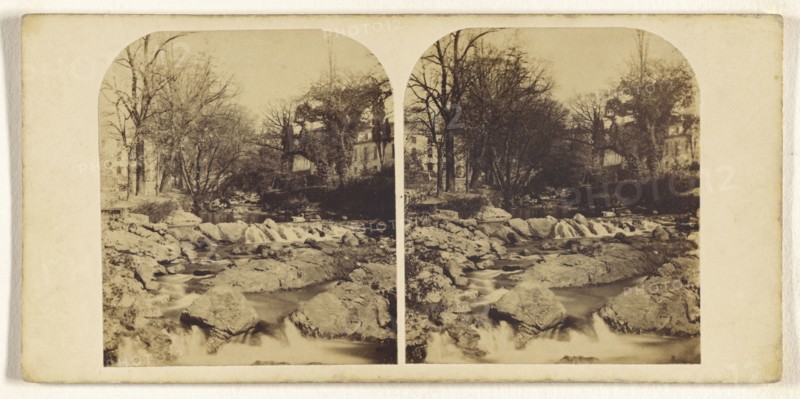 At Ivybridge; Way & Sons; about 1865; Albumen silver print