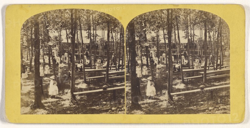 Pic-nic Party, Echo Grove. No. 1; William T. Webster, American, active Lynn, Massachusetts 1870s, 1870s; Albumen silver print