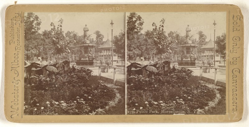 Public Park, Hornellsville, N.Y; Webster & Albee; 1880s; Gelatin silver print