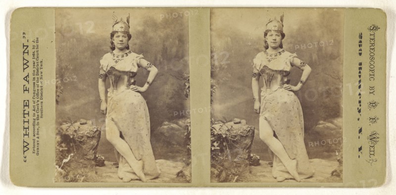 White Fawn.; Peter F. Weil, American, active New York, New York 1860s - 1870s, or Jeremiah Gurney & Son; 1868; Albumen silver
