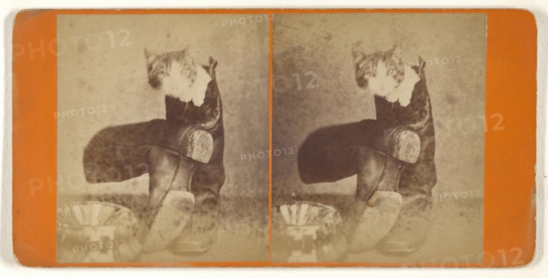 Puss in boots; Attributed to Peter F. Weil, American, active New York, New York 1860s - 1870s, about 1865; Albumen silver print