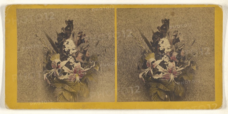 Bouquet of flowers; Franklin G. Weller, American, 1833 - 1877, about 1870; Hand-colored Albumen silver print