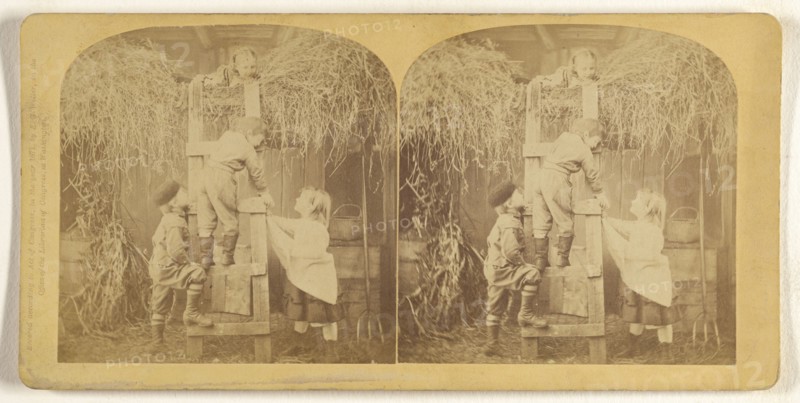 Hunting Hen's Egg; Franklin G. Weller, American, 1833 - 1877, 1871; Albumen silver print