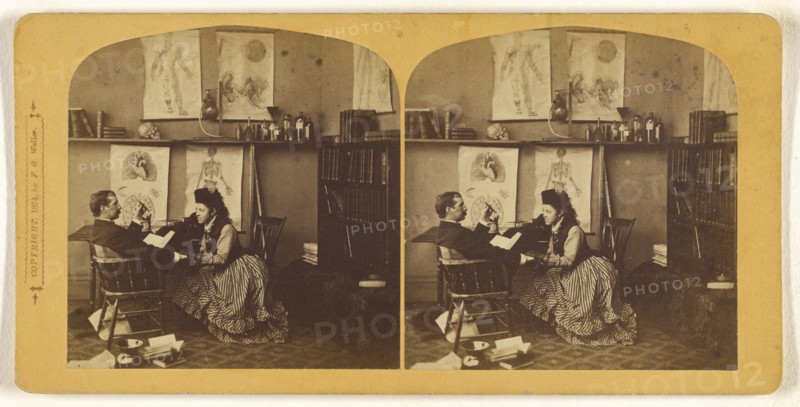 Future Courtship; Franklin G. Weller, American, 1833 - 1877, 1874; Albumen silver print