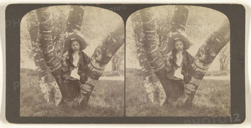 Mildred sitting on birch Tree, Washington Park, Albany, N.Y; Julius M. Wendt, American, active 1900s - 1910s, May 24, 1903