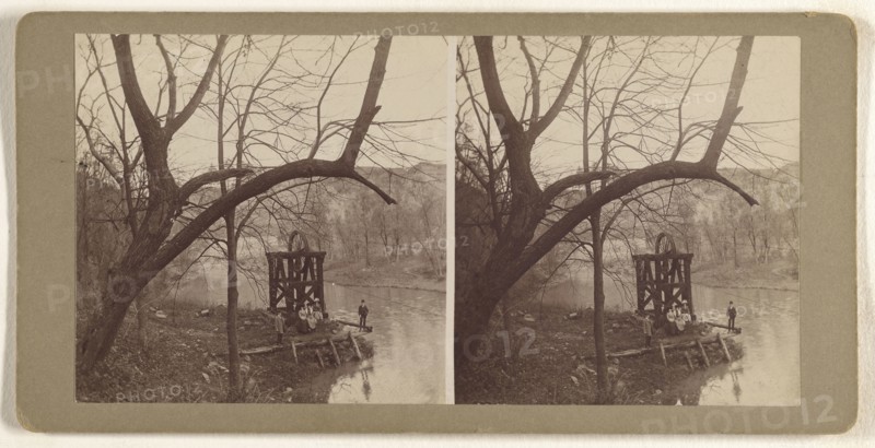 View along the Kenwood Creek. Albany, N.Y; Julius M. Wendt, American, active 1900s - 1910s, about 1903; Gelatin silver print
