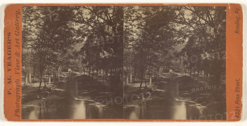 Litiz Springs, Lancaster Co; F.M. Yeager, American, active Reading, Pennsylvania 1870s, 1870s; Albumen silver print