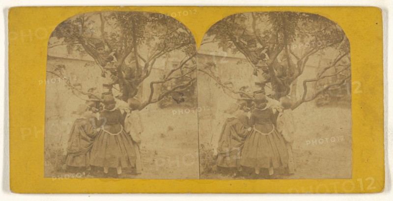 Children playing in tree; British; about 1860; Albumen silver print