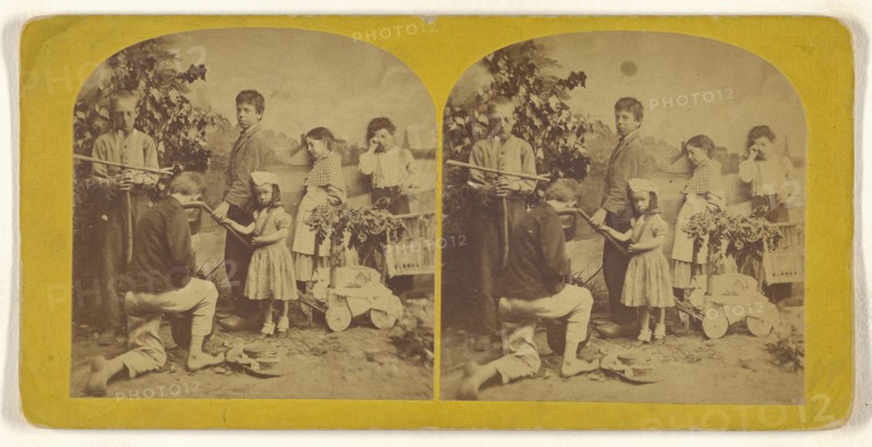 Burial of the Bird; about 1860; Albumen silver print