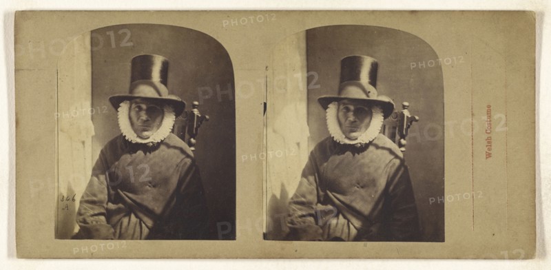 Welsh Costume; British; about 1860; Albumen silver print