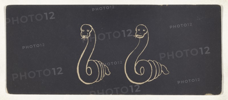 Optical illusion of a drawing of a snake; 1850s; Lithograph