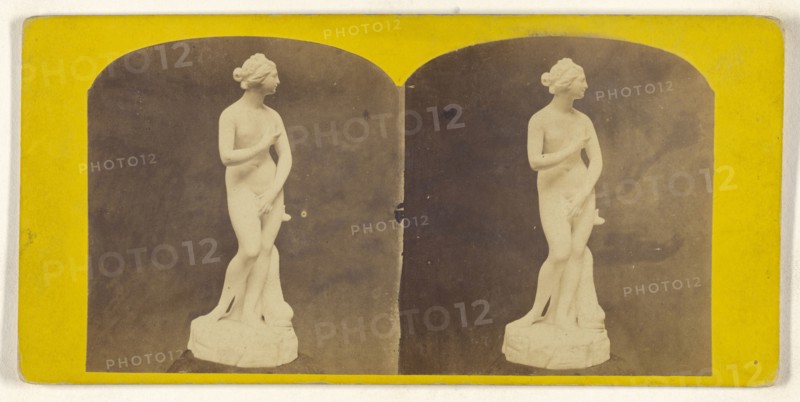 Venus de Medici; about 1865; Albumen silver print