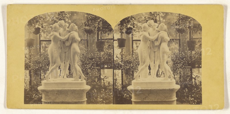 Private Conservatory; about 1865; Albumen silver print