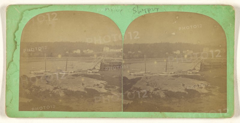Sailboats docked at shoreline; American; about 1870; Albumen silver print