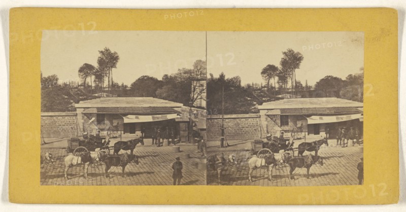 Horse-drawn wagons on a cobblestone street; about 1860; Albumen silver print