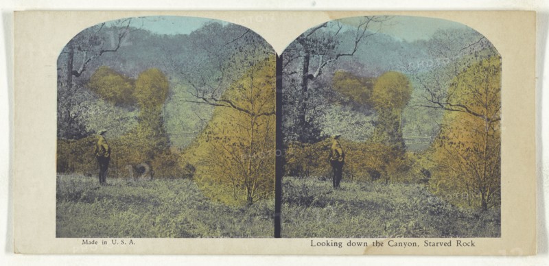 Looking down the Canyon, Starved Rock; American; about 1900; Color Photomechanical