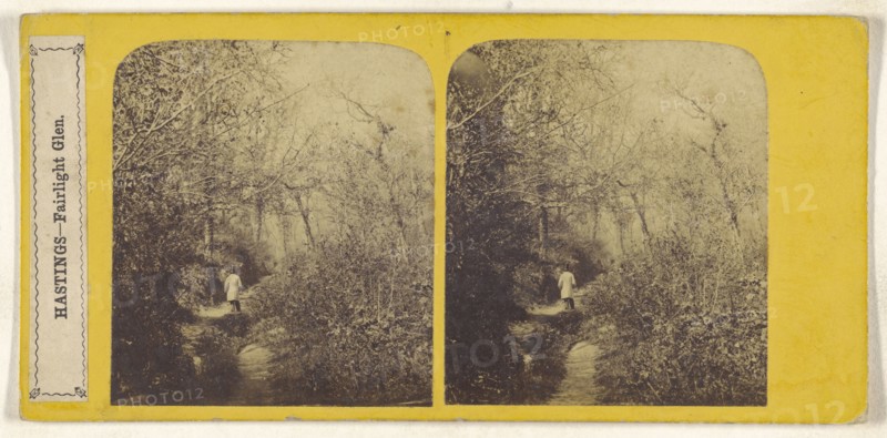 Hastings - Fairlight Glen; British; 1858; Albumen silver print