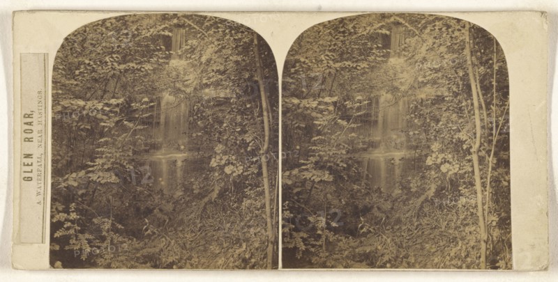 Glen Roar, A Waterfall, Near Hastings; British; about 1860; Albumen silver print
