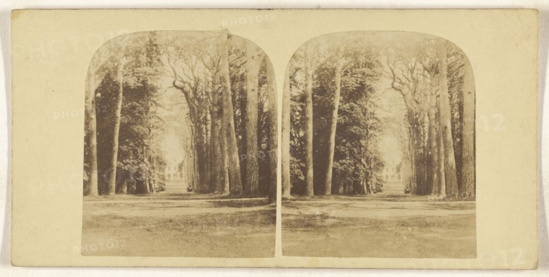 Guy's Cliff, Warwick; British; about 1860; Albumen silver print