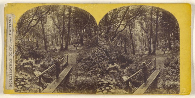 Ecclesbourne Glen, near Hastings; British; about 1860; Albumen silver print