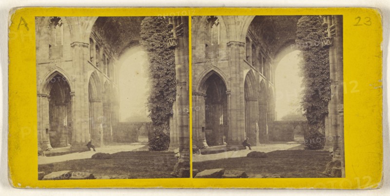 Melrose Abbey - The Nave; British; about 1860; Albumen silver print