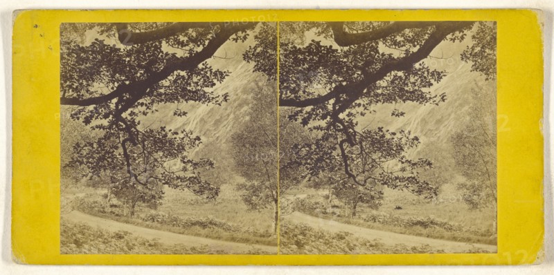 Powerscourt Waterfall, Co. Wicklow; British; about 1860; Albumen silver print