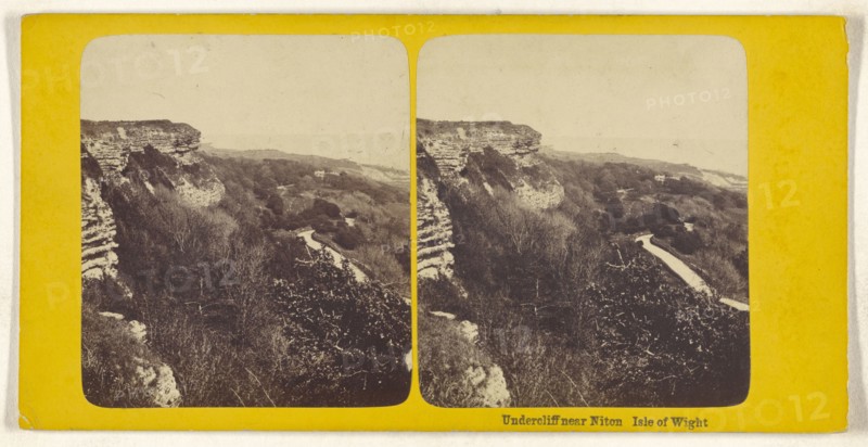 Undercliff near Niton, Isle of Wight; British; about 1860; Albumen silver print