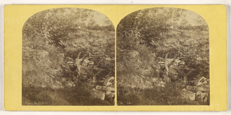 Near Wansfell Pike; British; about 1860; Albumen silver print