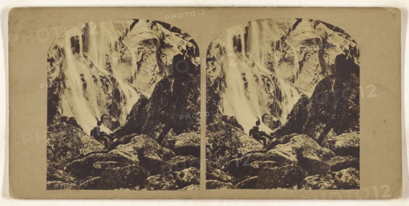 Powerscourt Waterfall, Ireland; British; about 1865; Albumen silver print