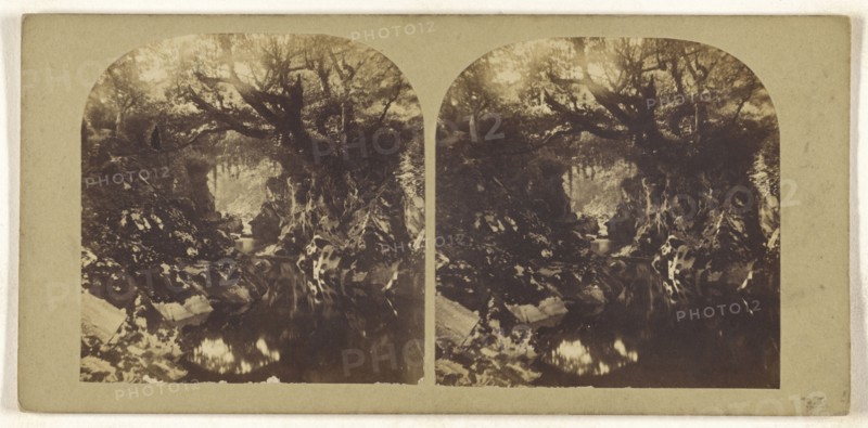 Bridge on the Machno, North Wales; British; about 1865; Albumen silver print