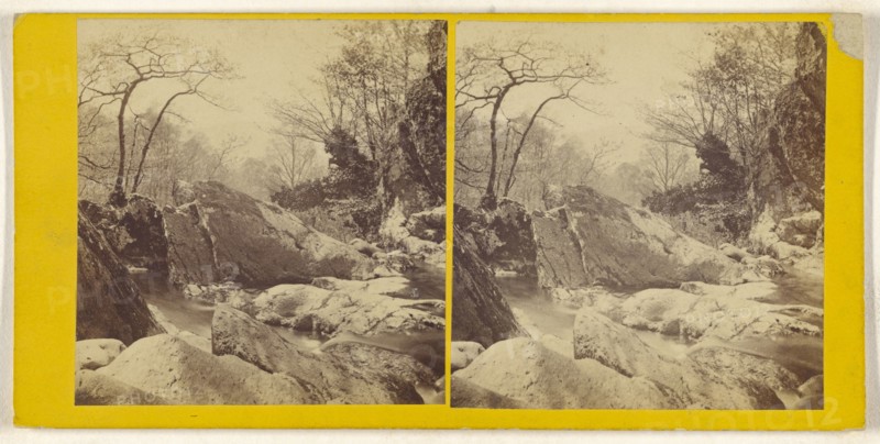 On the Stock Ghyll Stream. Ambleside; British; about 1865; Albumen silver print