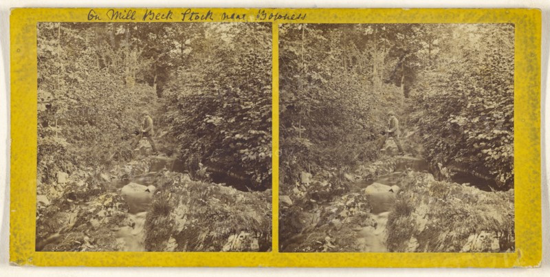 On Mill Beck Stock near Bowness; British; about 1865; Albumen silver print